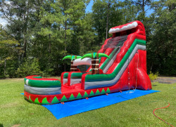 IMG 3862 1715112191 20 FT Red Tropical Waterslide