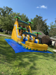 E85524C9 5982 450D BED5 7B59987CF08D 1684541181 17 FT Dual Lane Yellow Tropical