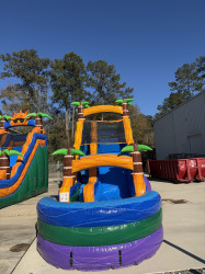 IMG 7325 1769714124 20 FT Purple Paradise Waterslide