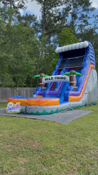 IMG 1156 1777394530 20 FT Wild Thing Waterslide