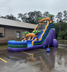 IMG 3320 1780323620 20 FT Purple Paradise Waterslide