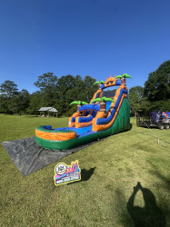 IMG 3476 1780323963 20 FT Rainforest Rush Waterslide