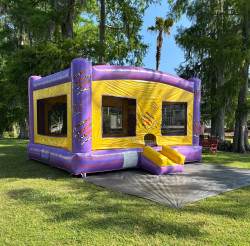 IMG 3923 1780323296 Tiger Double Bounce House