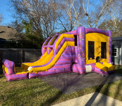 IMG 7112 1780323257 Tiger Combo Dual Lane Bounce House