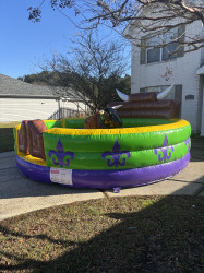 IMG 0965 1736877667 Mambo The Mechanical Bull