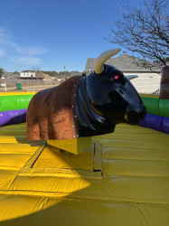 IMG 0975 1736877666 Mambo The Mechanical Bull