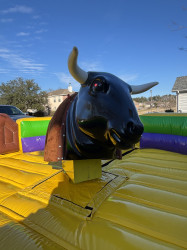 IMG 0976 1736877665 Mambo The Mechanical Bull